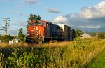 CN 4806 leads 559 at HQ